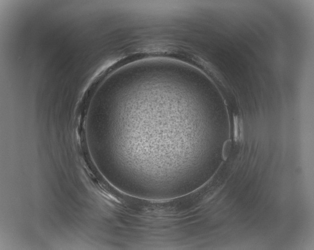 X0000066960723200603311422