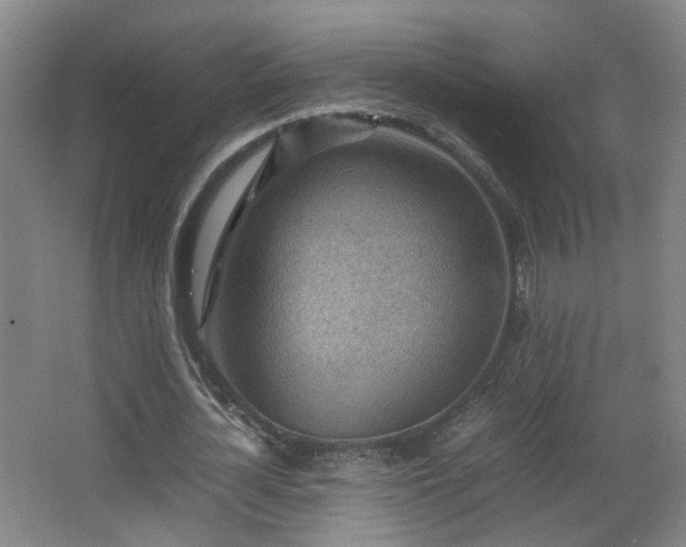 X0000066960724200603311422