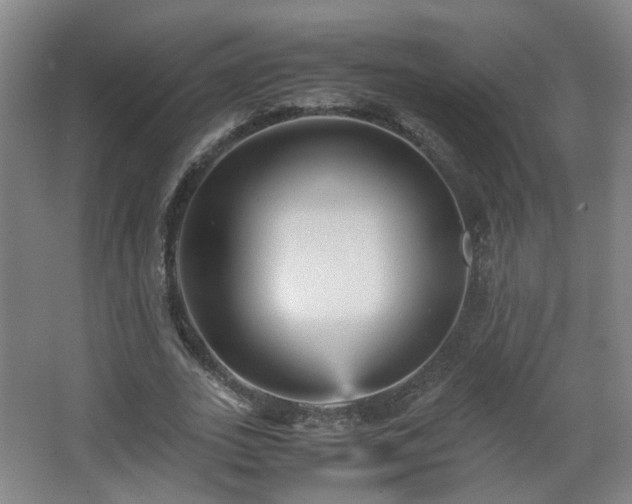 X0000066960727200603311422