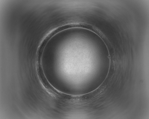 X0000066960728200603311422