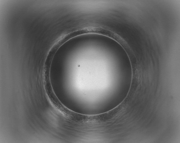 X0000066960730200603311422