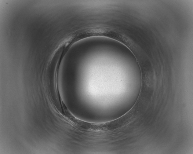 X0000066960731200603311422