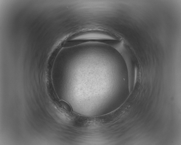 X0000066960732200603311422