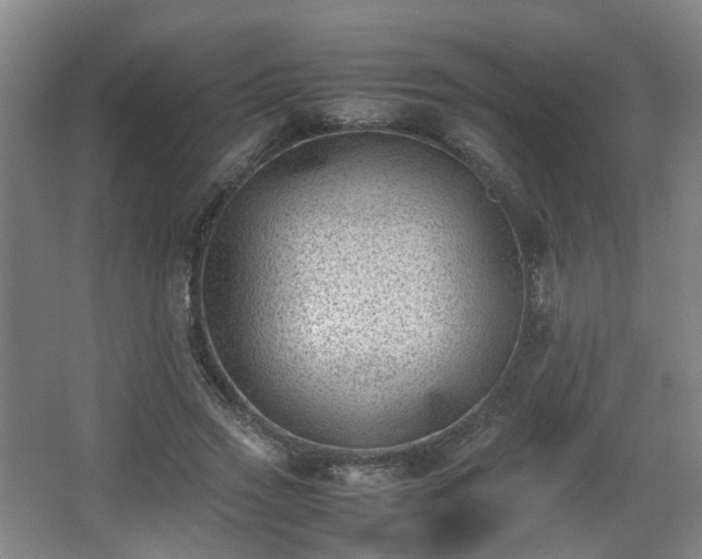 X0000066960733200603311422