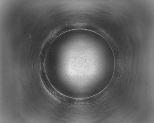 X0000066960734200603311422