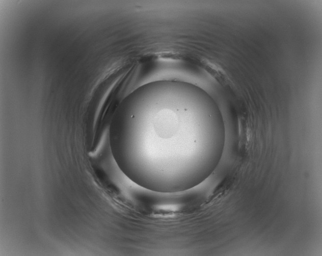 X0000066960735200603311422