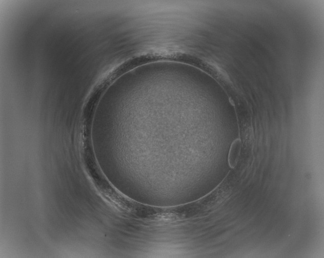 X0000066960736200603311423