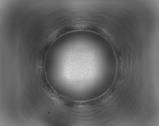 X0000066960737200603311423