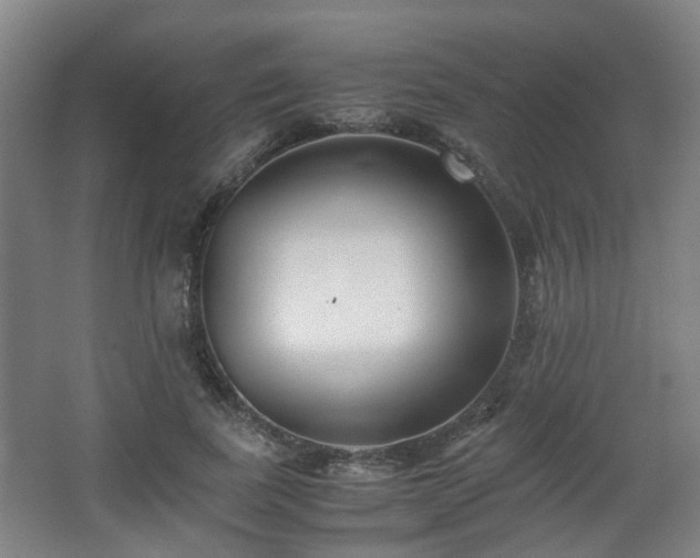 X0000066960739200603311423