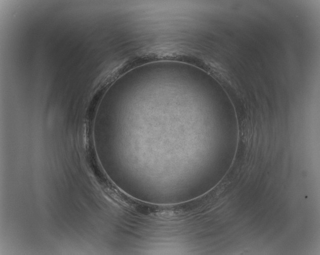 X0000066960740200603311423