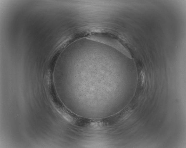 X0000066960744200603311423