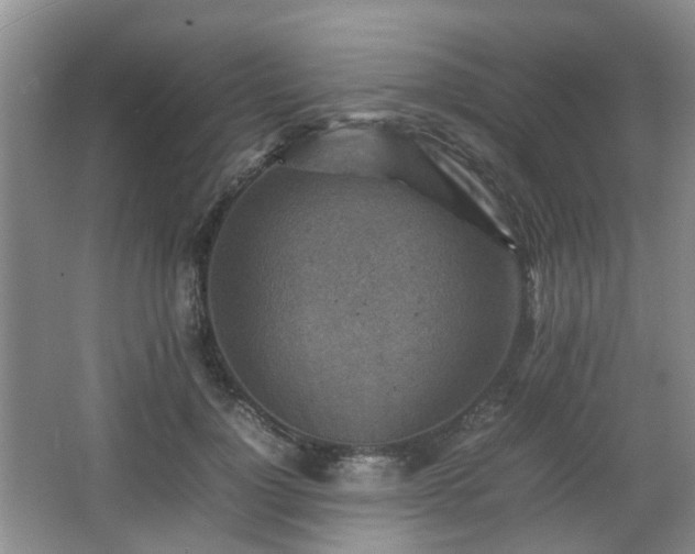 X0000066960748200603311423