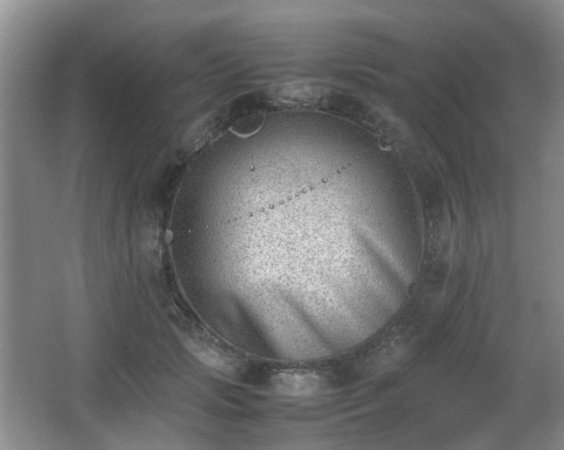 X0000066960749200603311423