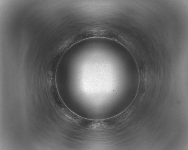 X0000066960752200603311423