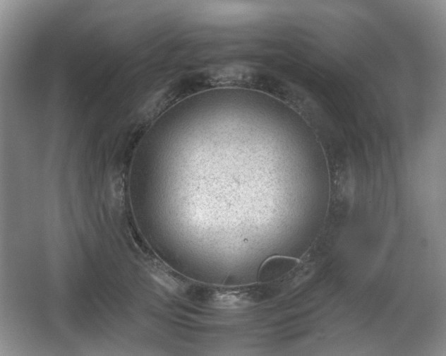 X0000066960753200603311423