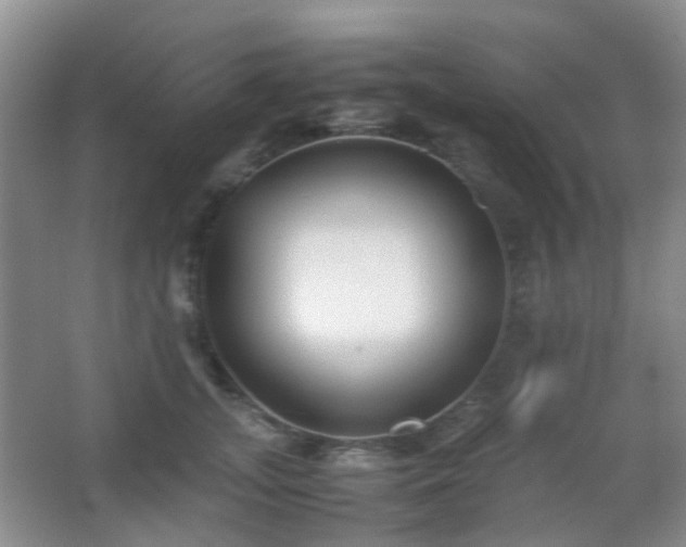 X0000066960755200603311423