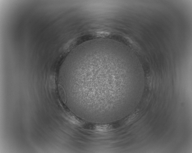 X0000066960757200603311423