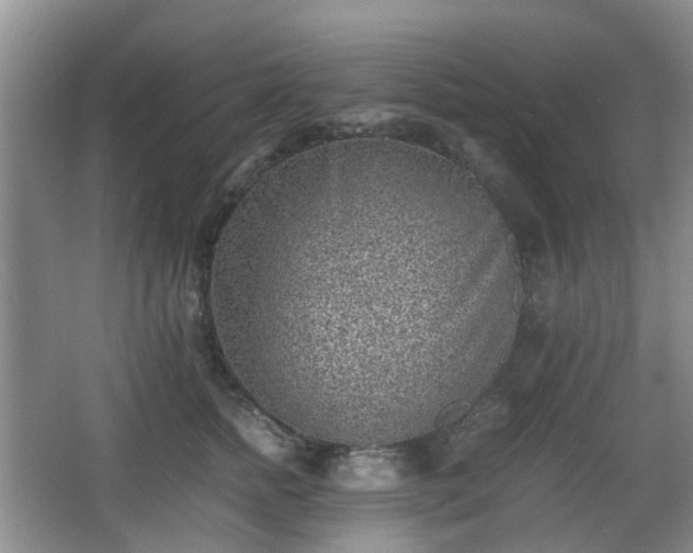 X0000066960758200603311423