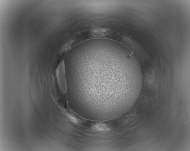 X0000066960759200603311423