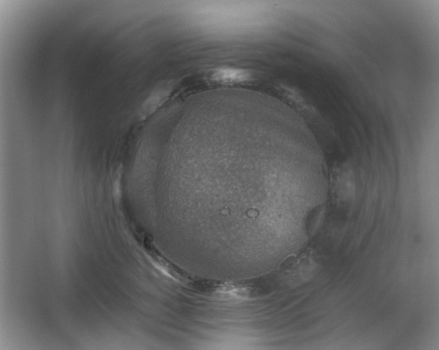 X0000066960760200603311423