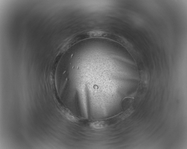 X0000066960761200603311423