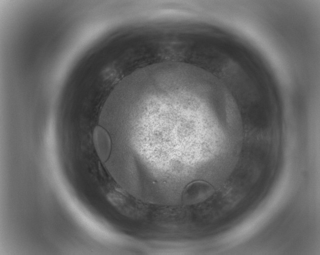 X0000066960765200603311423