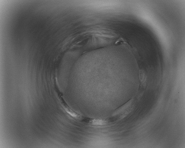 X0000066960766200603311423