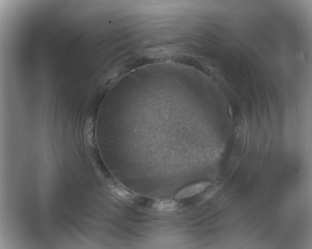 X0000066960767200603311423