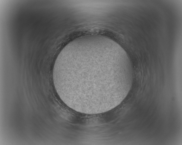 X0000066960769200603311422