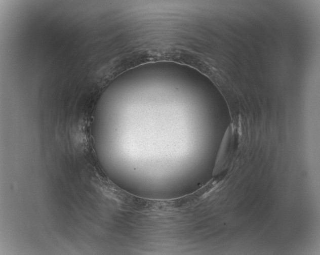 X0000066960770200603311422