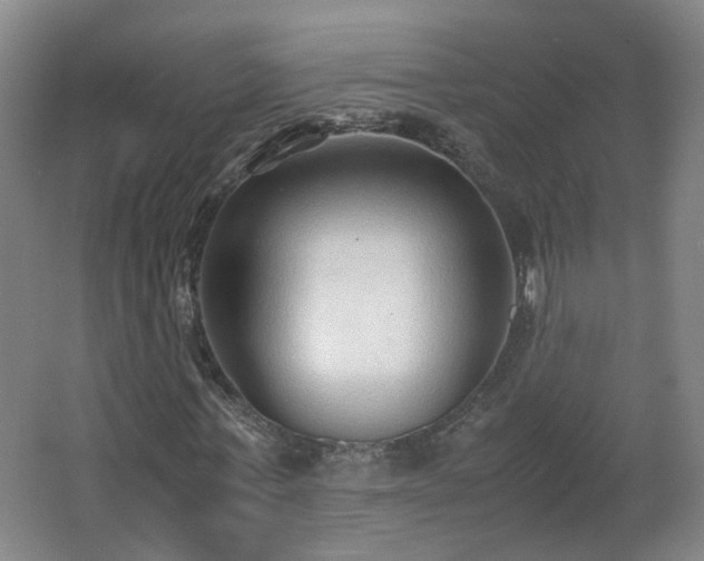 X0000066960771200603311422