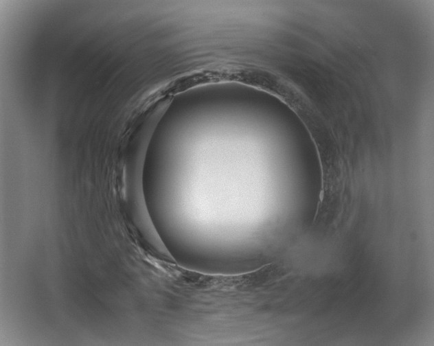 X0000066960773200603311422