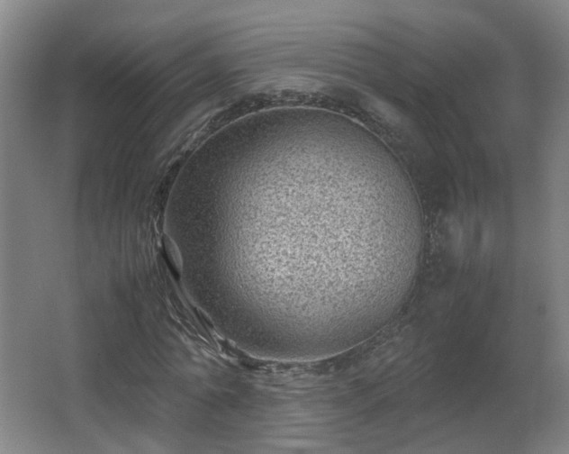 X0000066960774200603311422