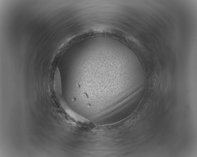 X0000066960776200603311422