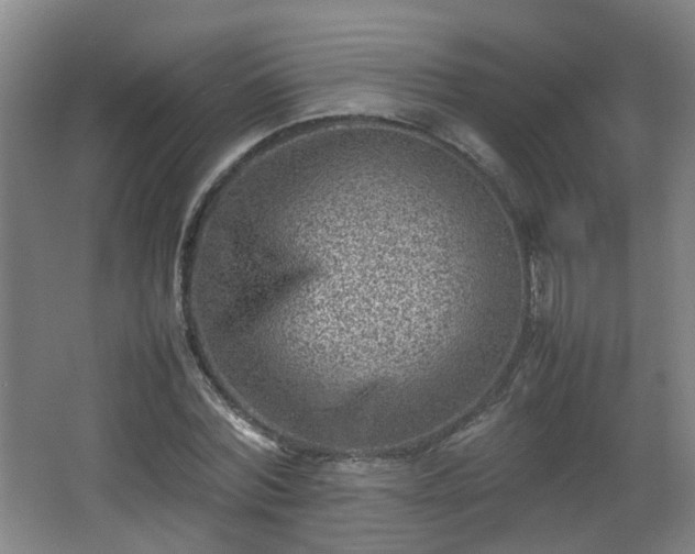 X0000066960780200603311422