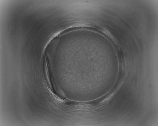 X0000066960781200603311422