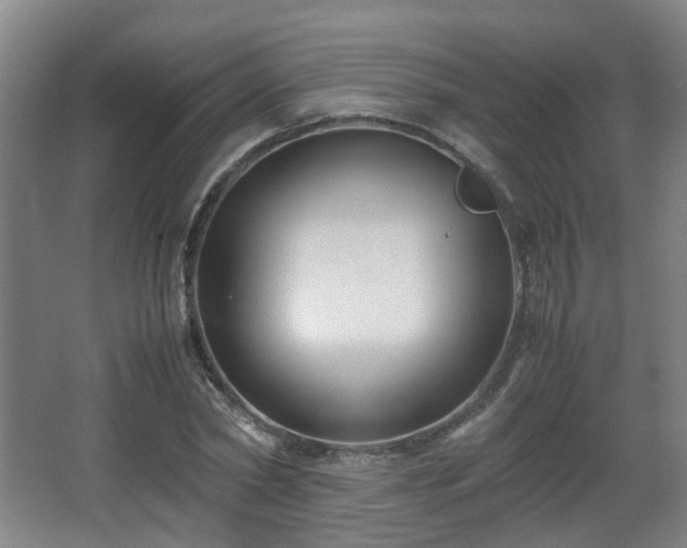 X0000066960782200603311422