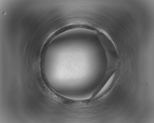 X0000066960783200603311422