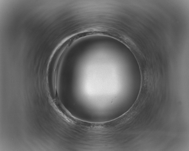 X0000066960784200603311422