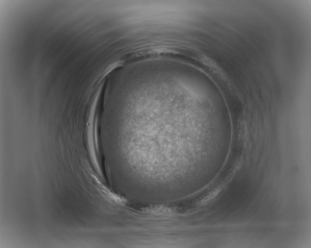 X0000066960785200603311422