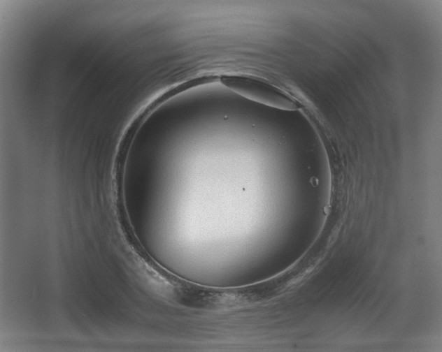 X0000066960787200603311422