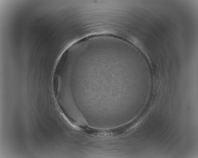 X0000066960789200603311422