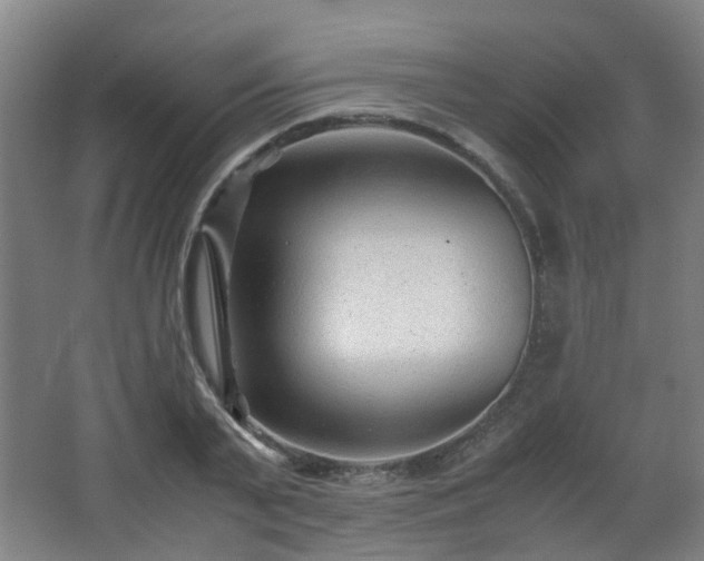 X0000066960791200603311422