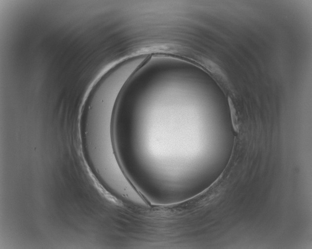 X0000066960792200603311422