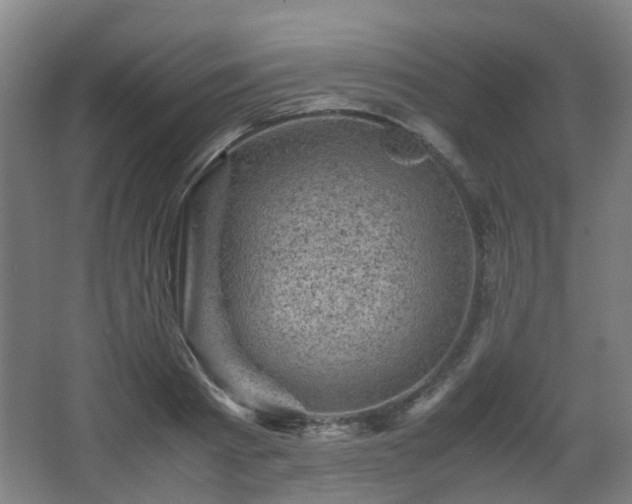 X0000066960793200603311422