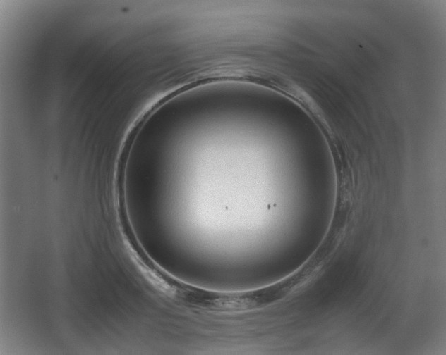 X0000066960795200603311422