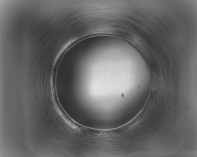 X0000066960796200603311422