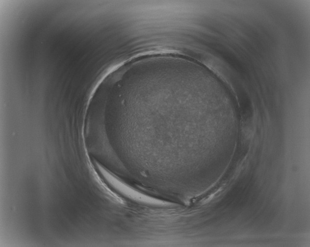 X0000066960797200603311422