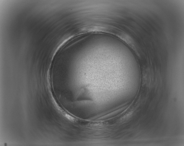 X0000066960798200603311422