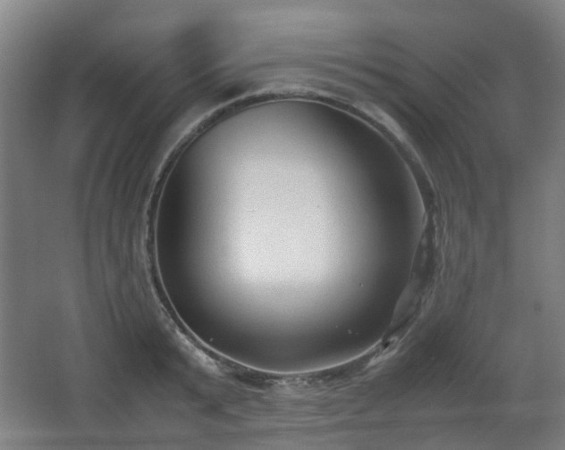 X0000066960799200603311422